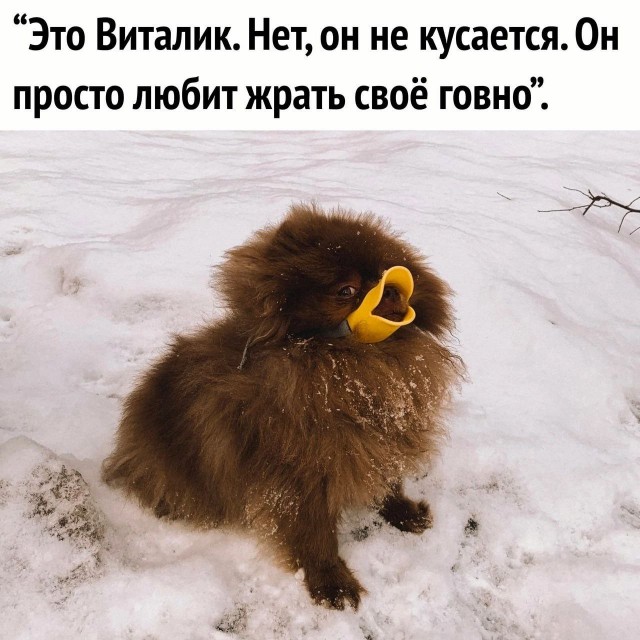 Народная меДИЧина 4005