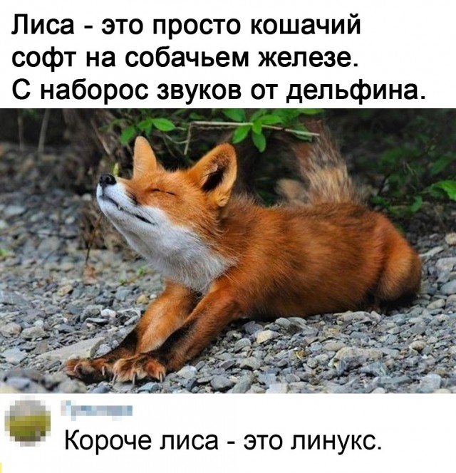 Так себе картинки 16.10.23