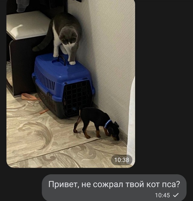 Как реагируют мужчины, когда узнают об измене жены?
