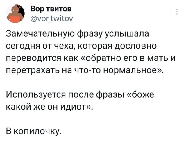 Весёлый полтишок 04.03.24