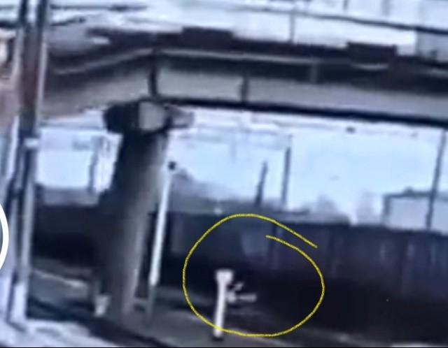 Погибшая во время обрушения Панинского моста женщина ехала за ребёнком в детский сад.