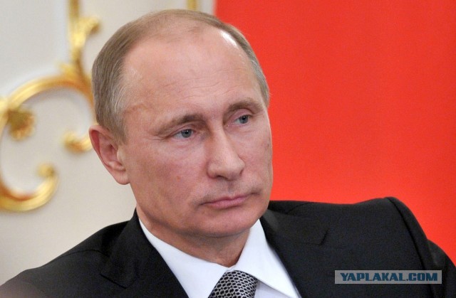 Знаменитости с усами и без