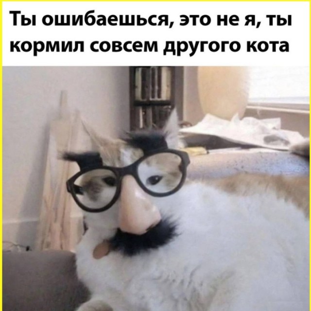ТРРРидцать тРРРи от 3 мая