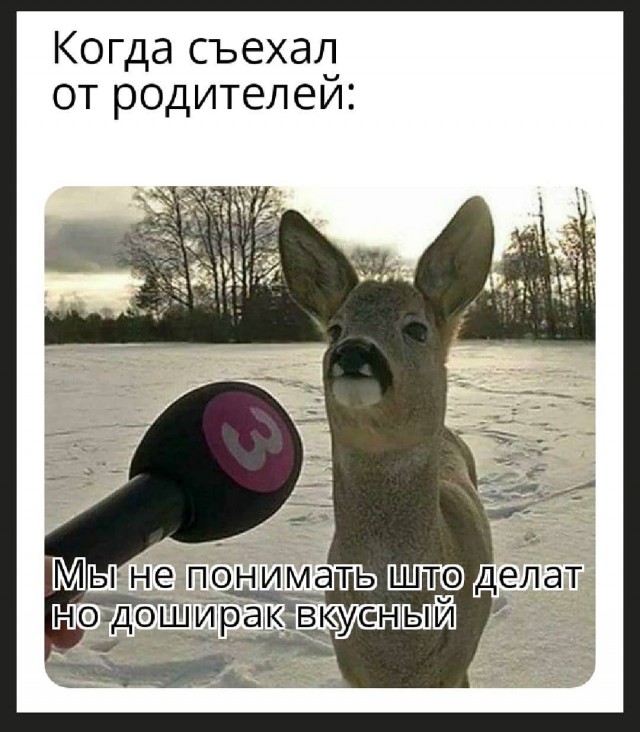 Завалялось тут случайно немного забавных картинок