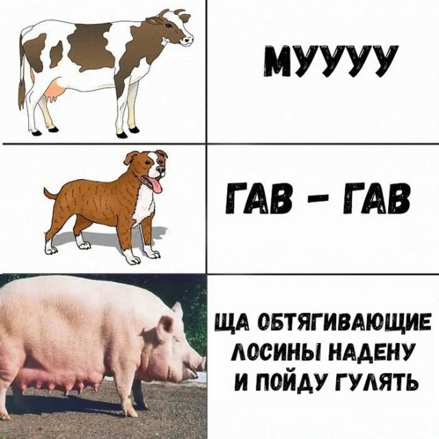 Никакие картинки