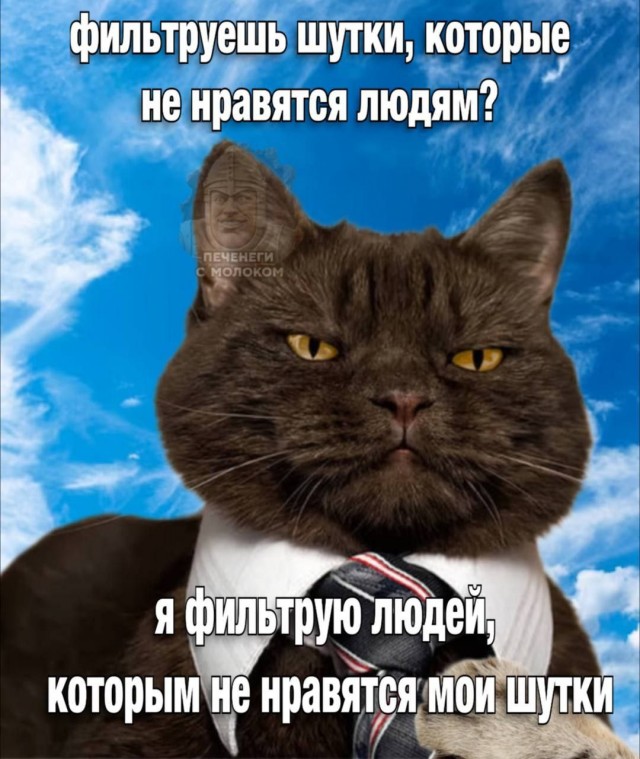 Всего понемногу. От 24.06.2024