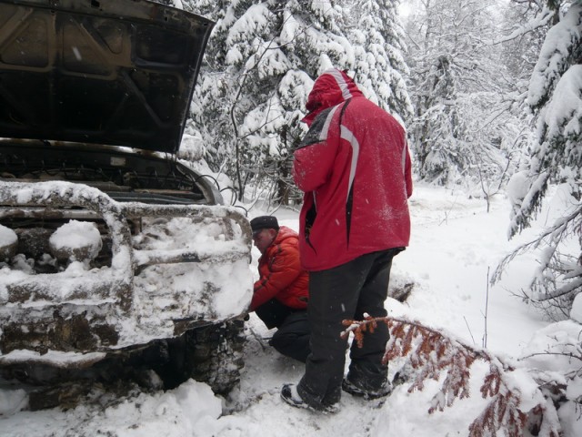 Котяра или На одну мечту меньше