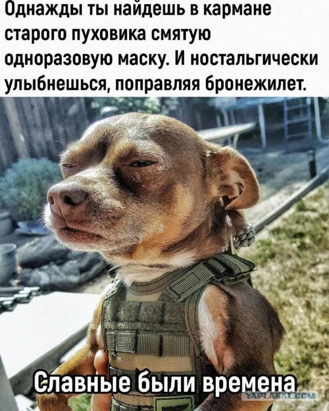 ⚡️ Въезд в Курчатов закрыт