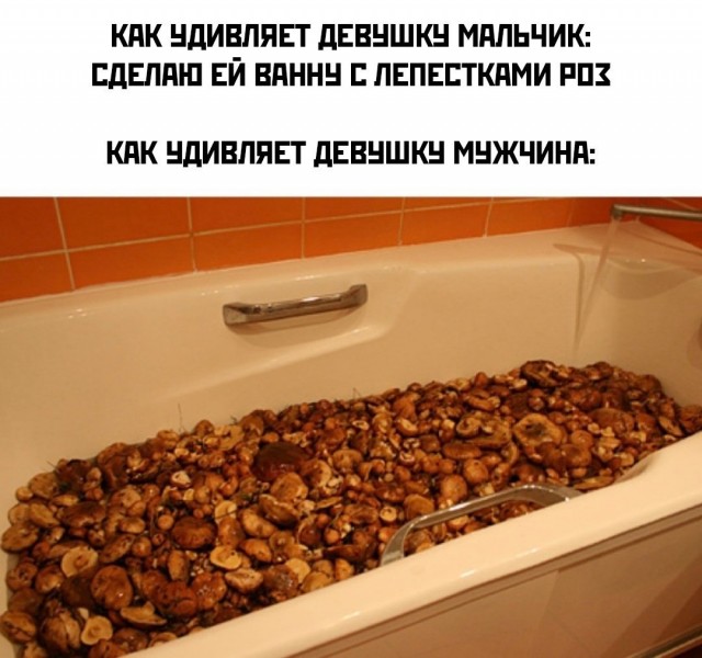 Так себе картинки 04.09.24