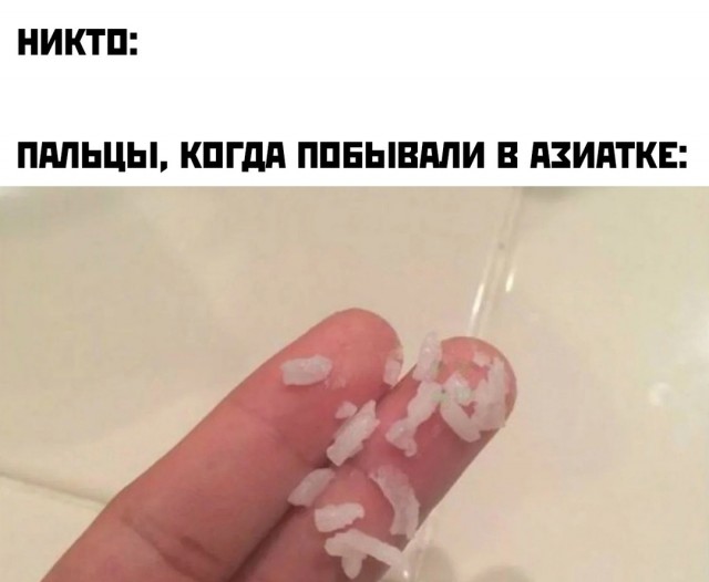 Весёлый полтишок 29.10.24