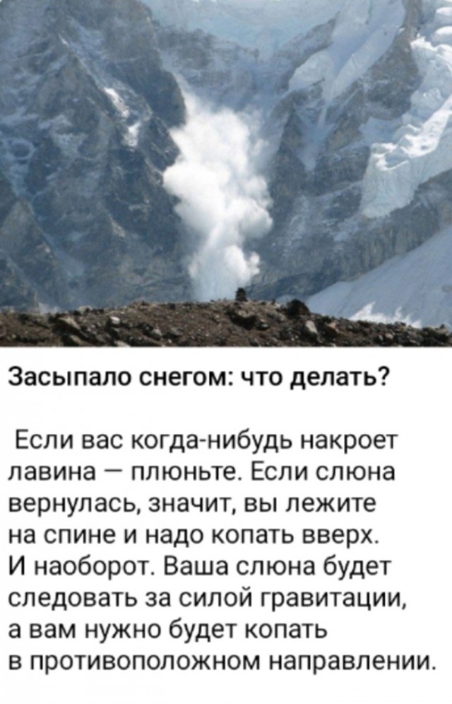 Так себе картинки 02.12.24