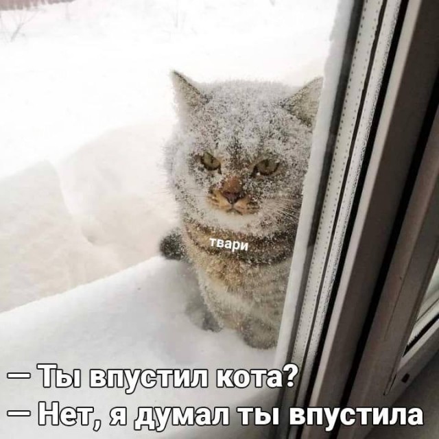 Картинки