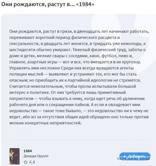 У Роскомнадзора есть основания «для принятия мер в отношении YouTube»
