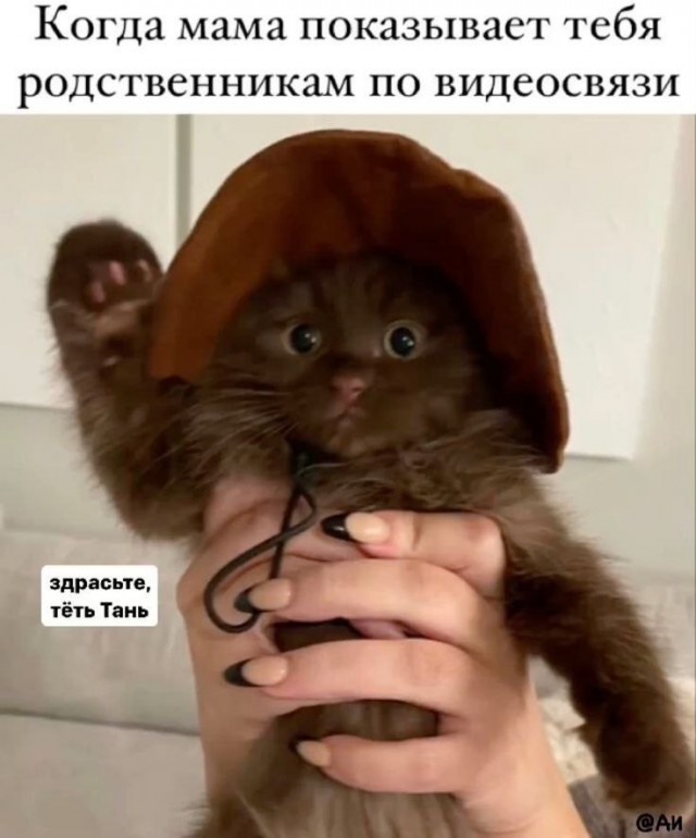 Из мира деградации - 16