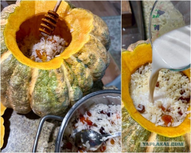 Жаба с рисом и сухофруктами