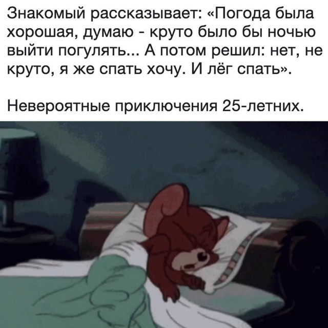 Весёлый полтишок 14.05.25.
