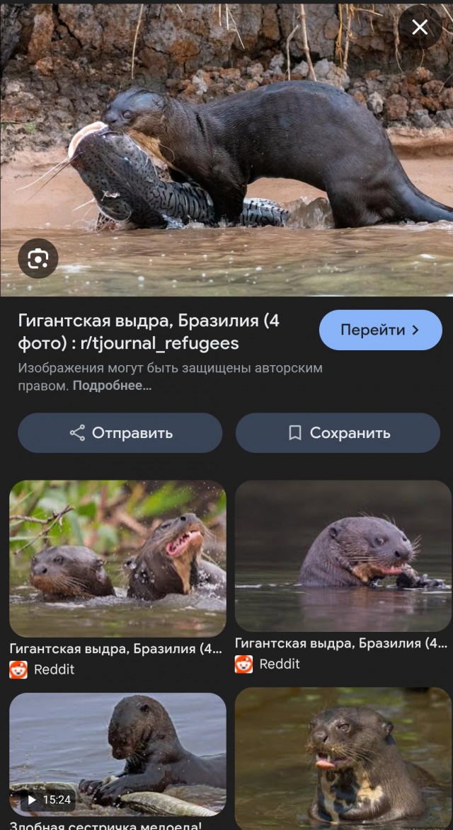 Выдрыхнительное