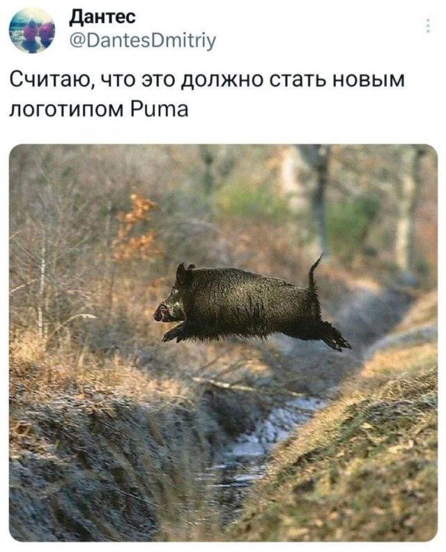 Подборка юмора в буквах за день