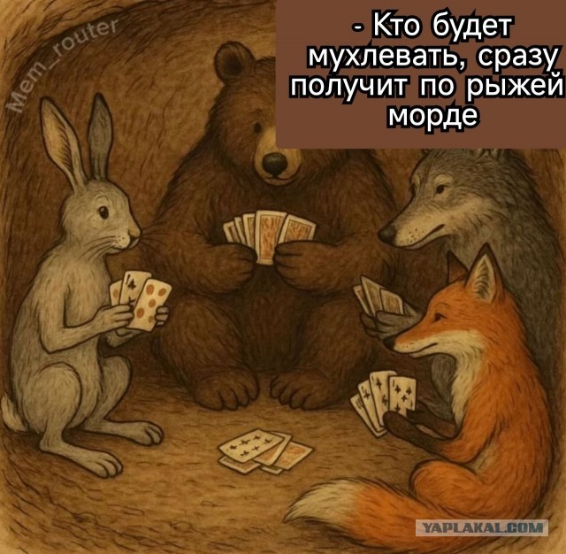 Так себе картинки 14.07.25