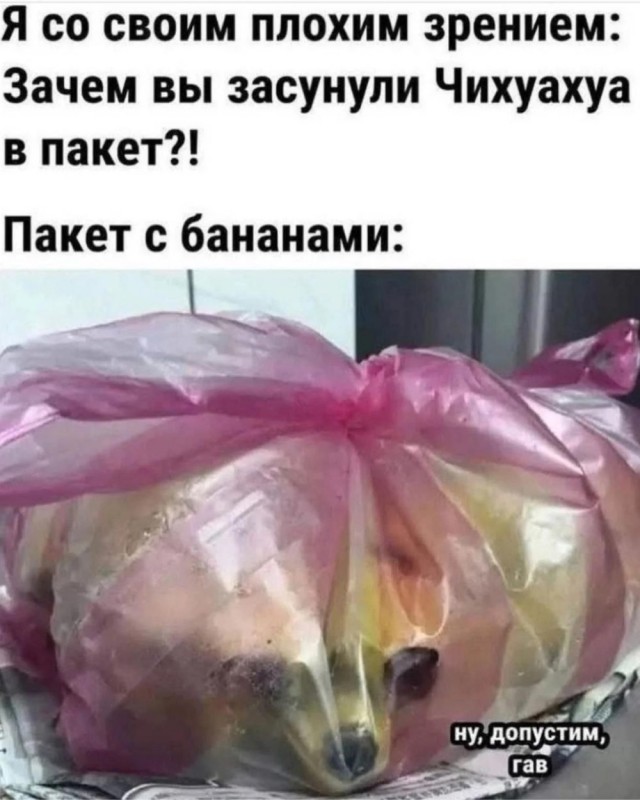 А где Цой?