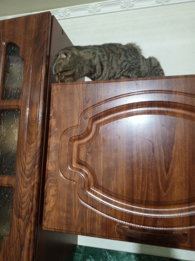 Shurup модерирует ЯП в ночь на 1 января