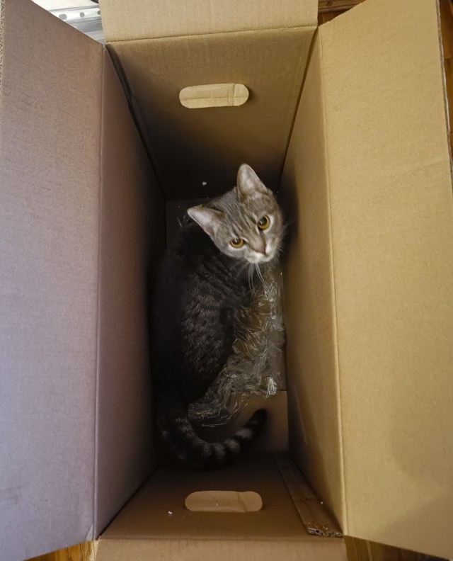 Котокоробковое