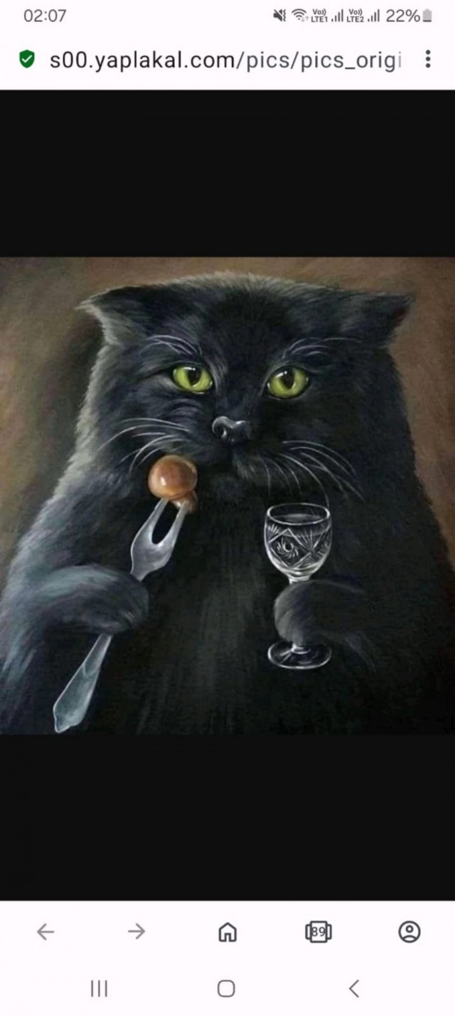 Кошки в развалинах Эфеса, Турция
