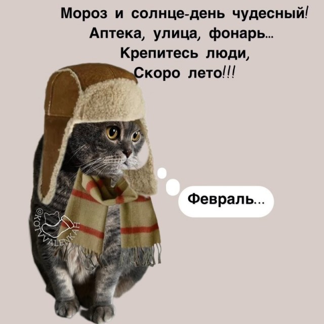 Среды картинки