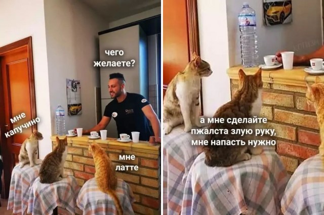 Получай вонючая лапа