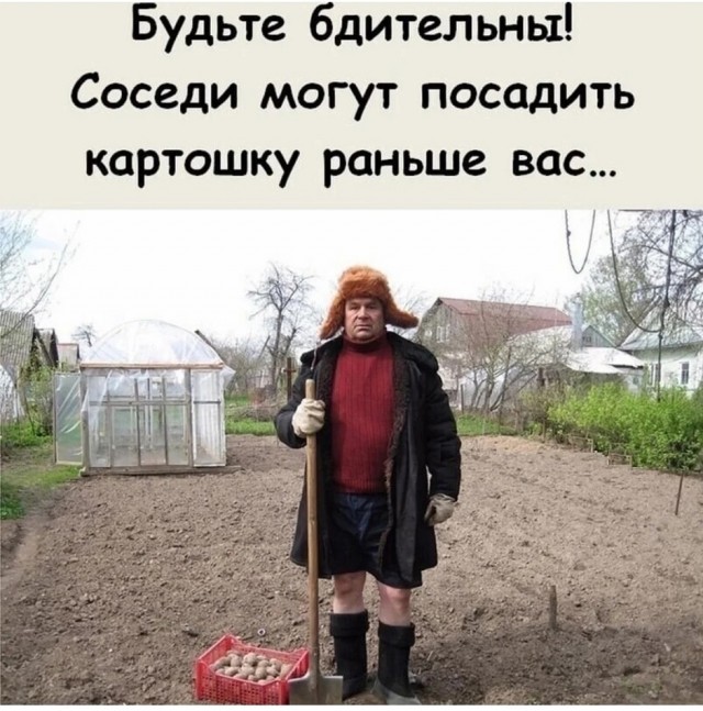 Так себе картинки 03.03.26