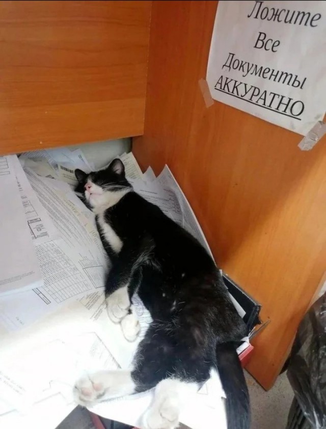 Давно же не было