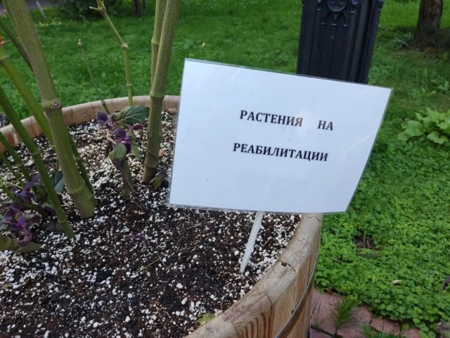 Кто ты сегодня?