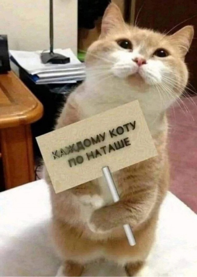 Субботние картинки