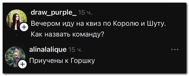 Люблю я квизы и панк-рок⁠