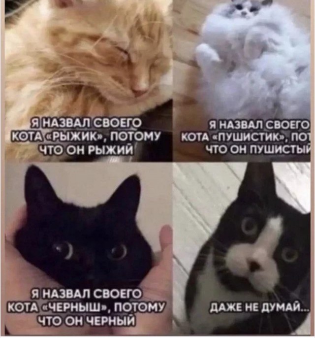Зачем мне мужчина если он не делает мою жизнь лучше?