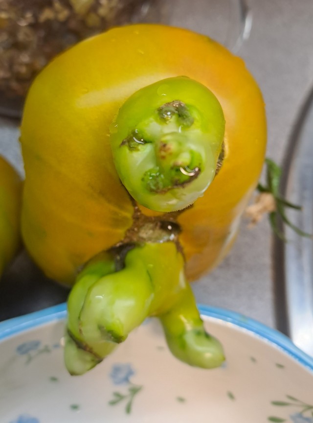 Я боюсь есть эти помидоры)