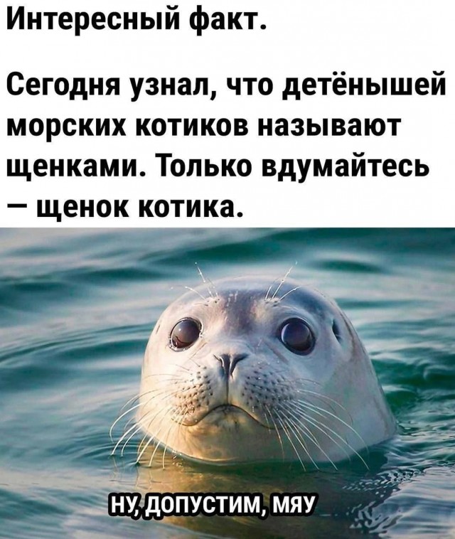 Картинки для деградации 253 (разной степени свежести)