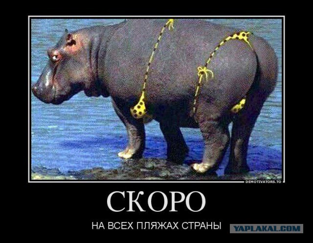 Демотиваторы.