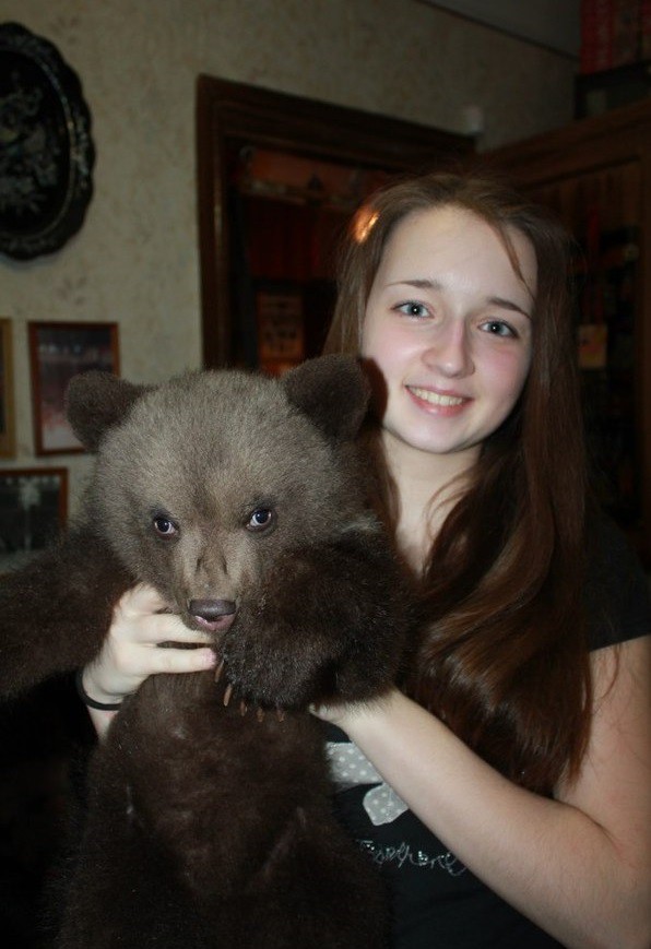 Медведь есть, балалайка есть...