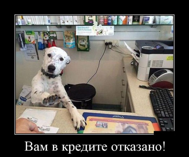 Картинки из сети для настроения