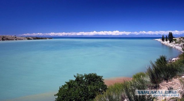 Алко-Нарко-Психо-Фармо и т.п. поборка
