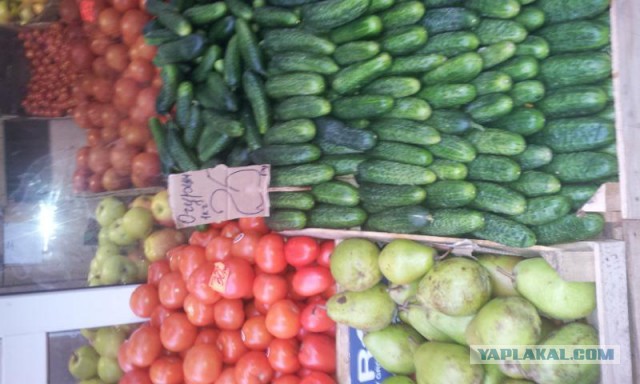 Цены на овощи в Москве!