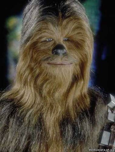 Чубака застрял...