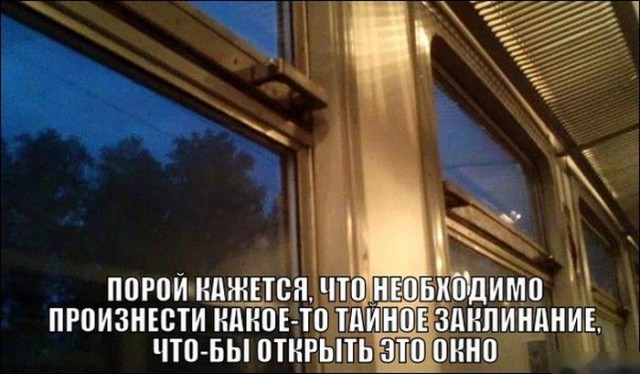 Подборка картинок из соцсетей