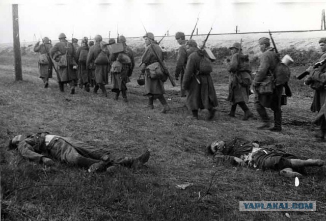 Документальные фото ВОВ 1941-1945