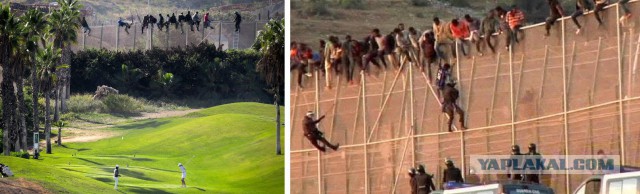 Латвия строит забор