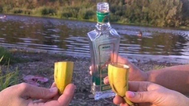 Приколы из сети