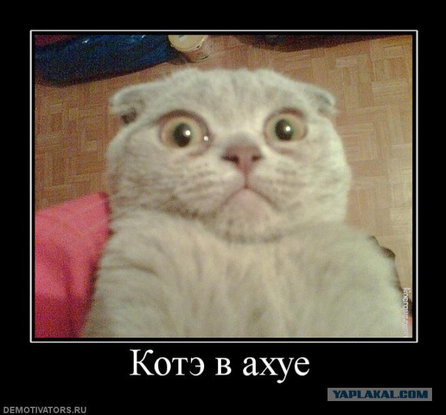 Дамы и господа, это просто агонь!