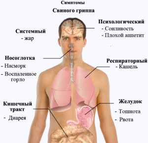 Число жертв свиного гриппа в России растет