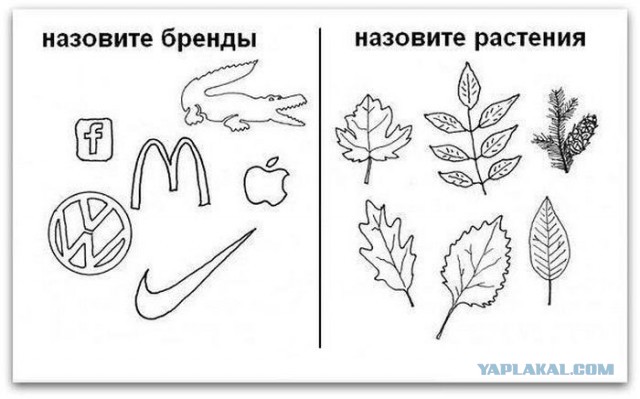 Абсурдный юмор ч.3